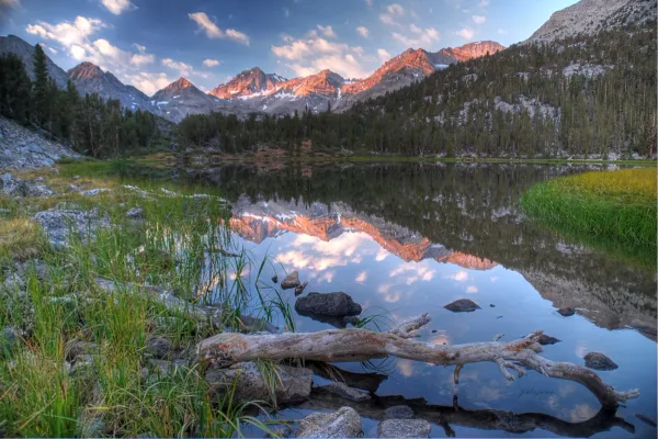 Reflection of tree branch in the foreground and mountain peaks with the alpenglow of sunrise on a Siera Nevada creek.